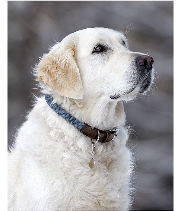Hundehalsband Rope
