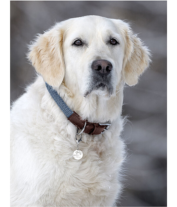 Hundehalsband Rope