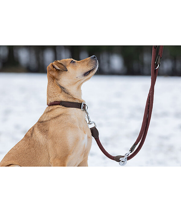 Hundeleine Rope