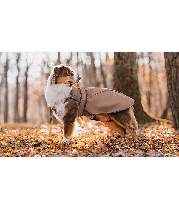 2 in 1 Nylon-Hundemantel Ally