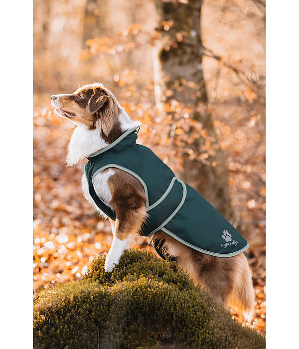 Hunde Regenmantel Eldoro II mit Fleeceinnenfutter, 0 g