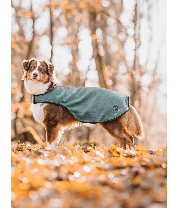Hunde Regenmantel Eldoro II mit Fleeceinnenfutter, 0 g