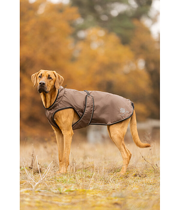 Hunde Regenmantel Eldoro II mit Fleeceinnenfutter, 0 g
