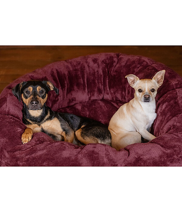 Teddyfleece-Hundebett Quimba