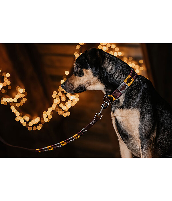 Set: Leder-Hundehalsband und -leine Polo Sports