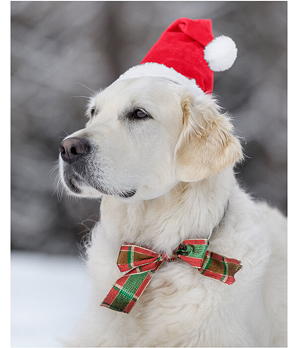 Weihnachtsmtze Santa fr Hunde