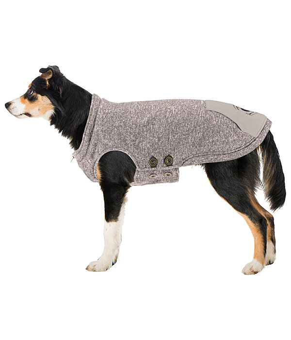 Hunde-Pullover Seb