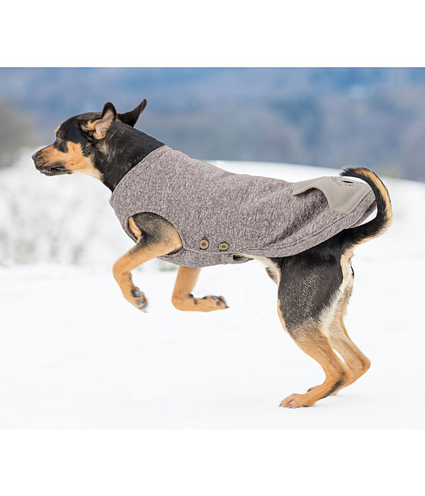 Hunde-Pullover Seb