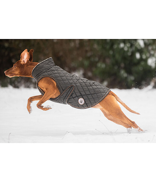 Hundemantel Archie mit Teddyfleece-Innenfutter, 160 g