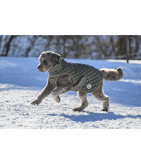 Hundemantel Archie mit Teddyfleece-Innenfutter, 160 g