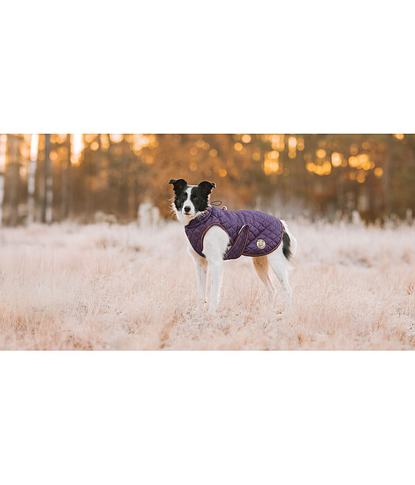 Hundemantel Archie mit Teddyfleece-Innenfutter, 160 g