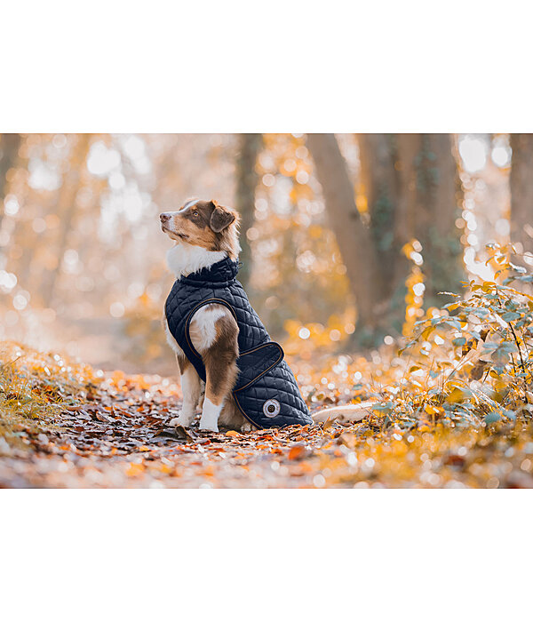 Hundemantel Archie mit Teddyfleece-Innenfutter, 160 g