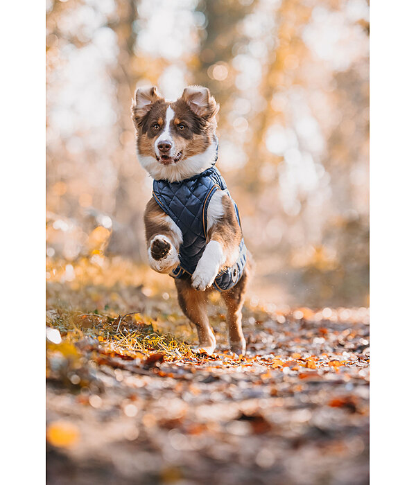 Hundemantel Archie mit Teddyfleece-Innenfutter, 160 g