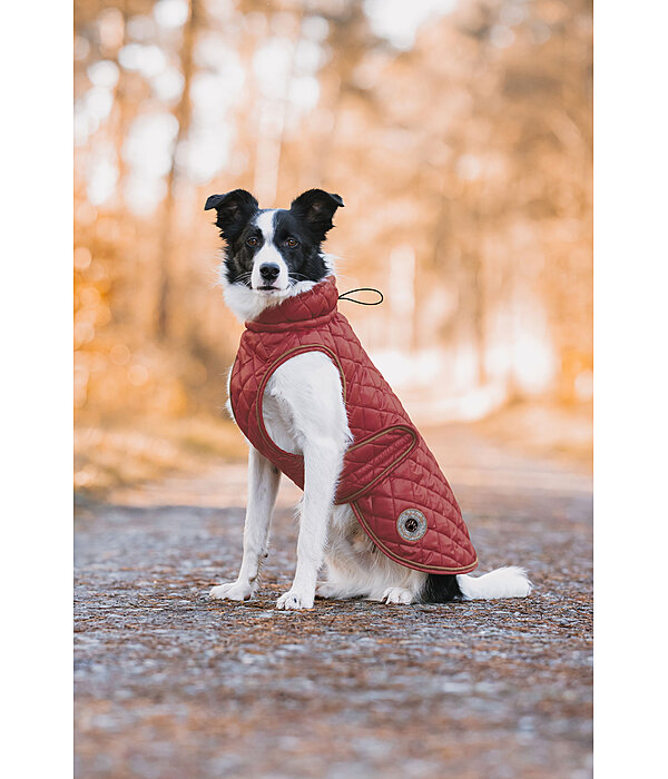 Hundemantel Archie mit Teddyfleece-Innenfutter, 160 g