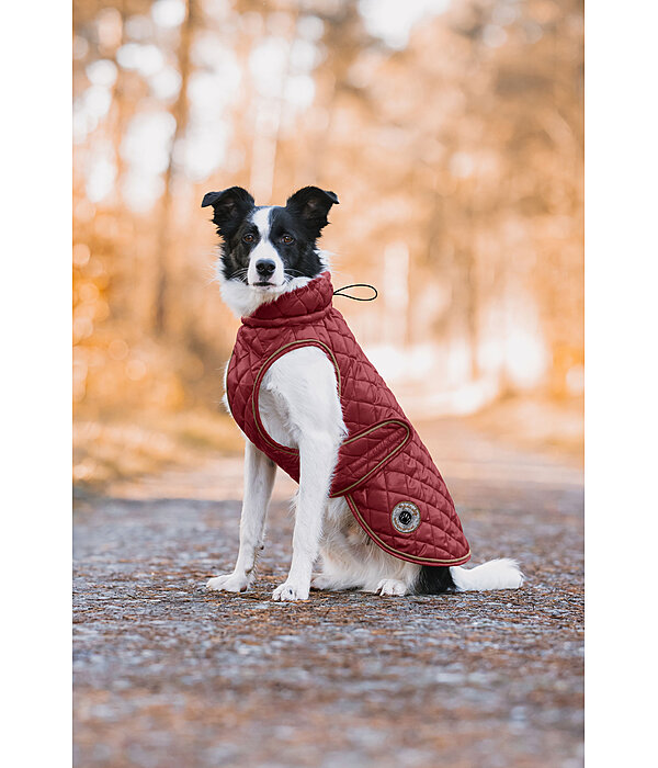 Hundemantel Archie mit Teddyfleece-Innenfutter, 160 g