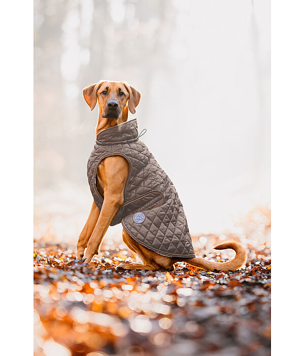 Hundemantel Archie mit Teddyfleece-Innenfutter, 160 g