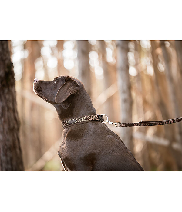 Hundehalsband Becks