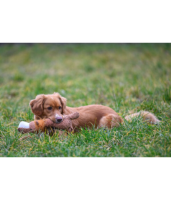 Hundespielzeug Kuschel-L�we Lio