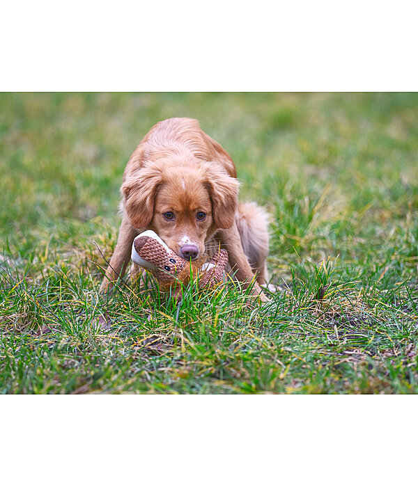 Hundespielzeug Kuschel-L�we Lio