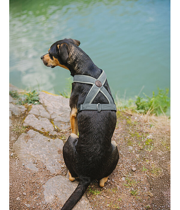 Hundegeschirr Piper