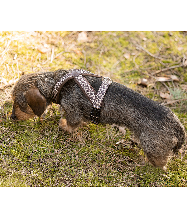 Hundegeschirr Piper