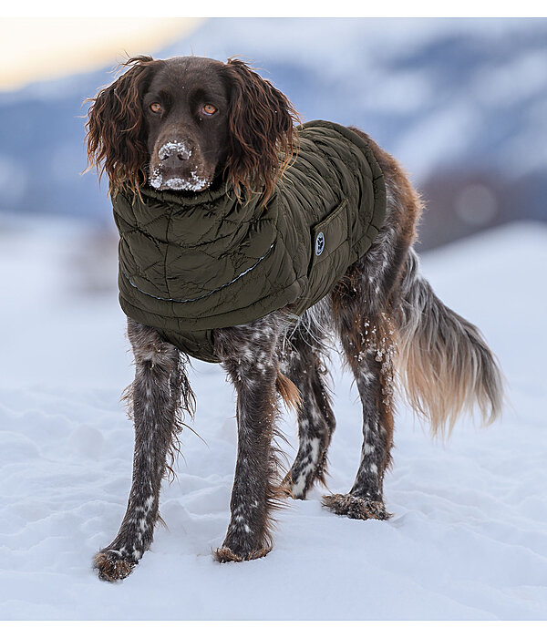 Lightweight Hunde-Steppjacke Cliff mit Fleecelining, 200 g