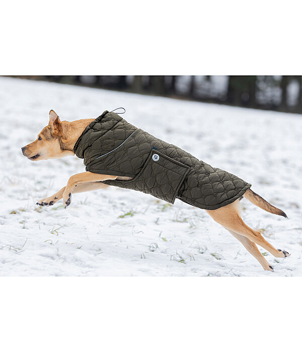 Lightweight Hunde-Steppjacke Cliff mit Fleecelining, 200 g