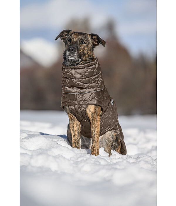 Lightweight Hunde-Steppjacke Cliff mit Fleecelining, 200 g