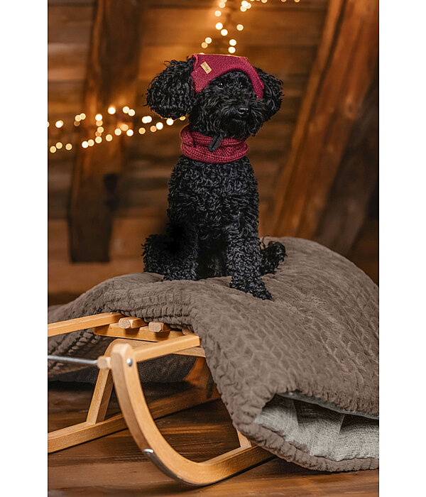 Hunde-Beanie Evin