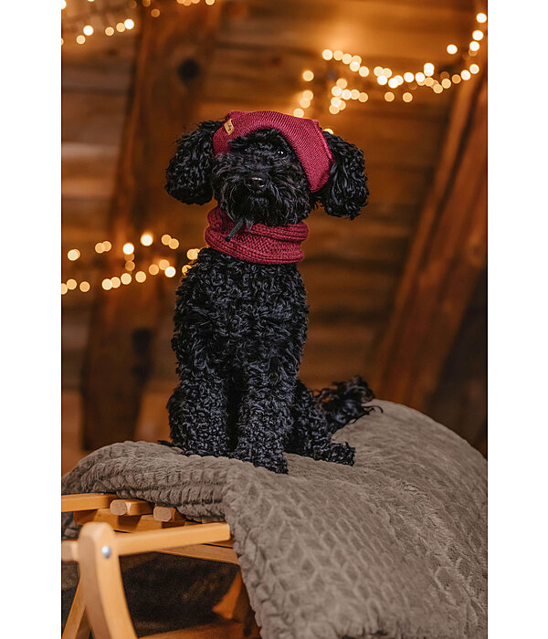 Hunde-Beanie Evin