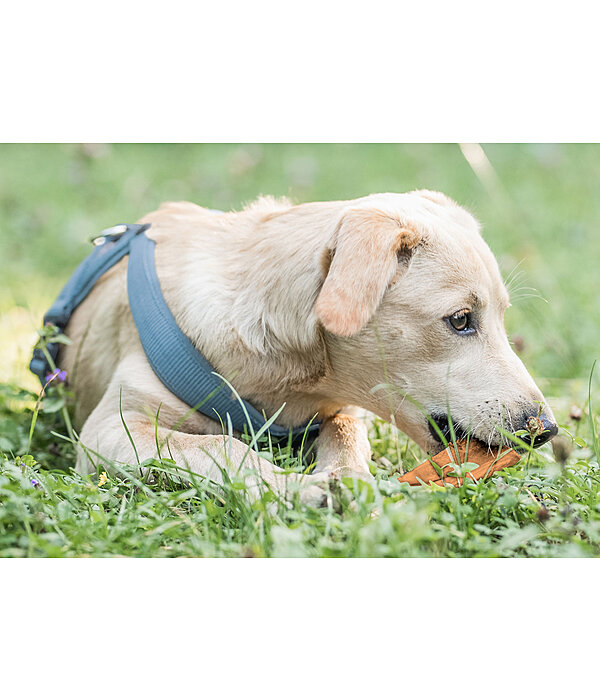 Rinderkopfhaut Hundesnack