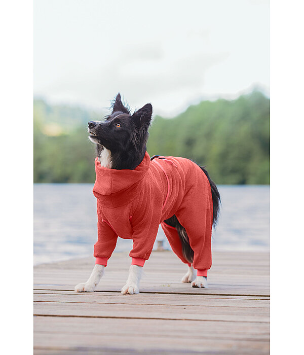 Hunde-Bademantel Allover Dry