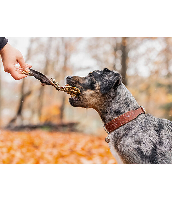 Rinderpansen Hundesnack