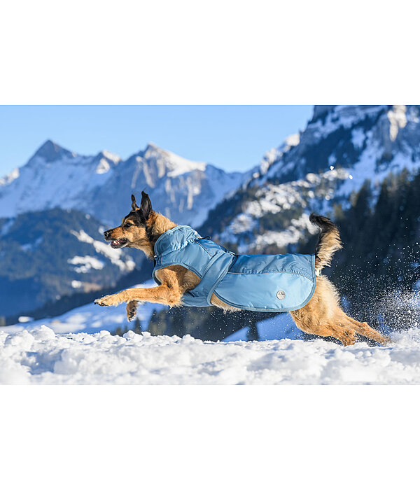 Winter-Hundemantel Glacier Bay mit Teddyfleece-Innenfutter, 100 g