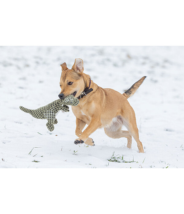 Hundespielzeug Kuschel-Dino Rexy