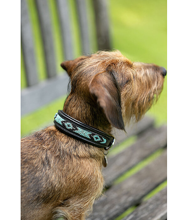 Hunde-Lederhalsband Nashville