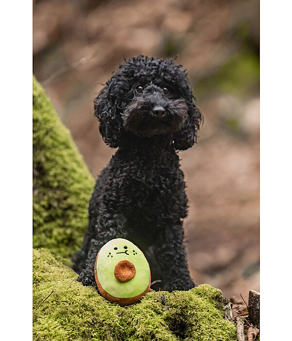 Hundespielzeug Avocado