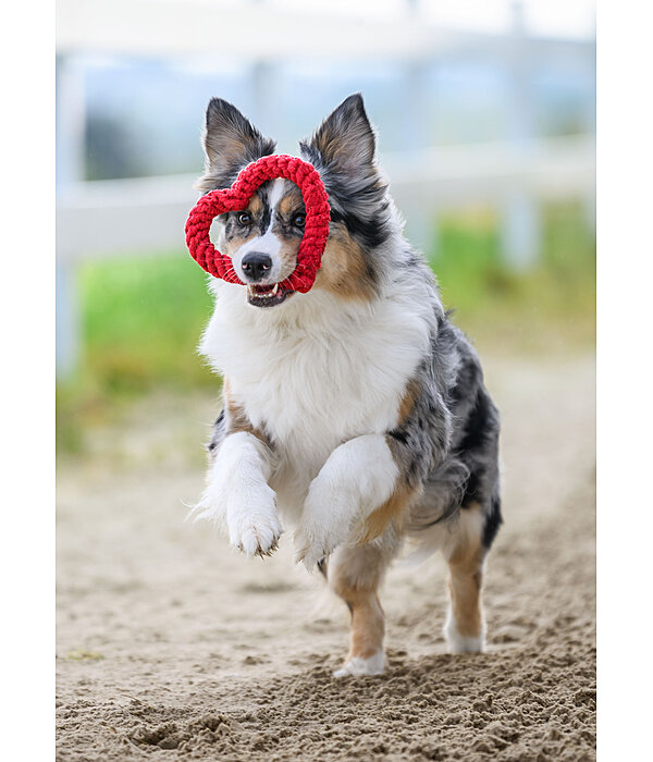 Tau-Spielzeug Valentine fr Hunde