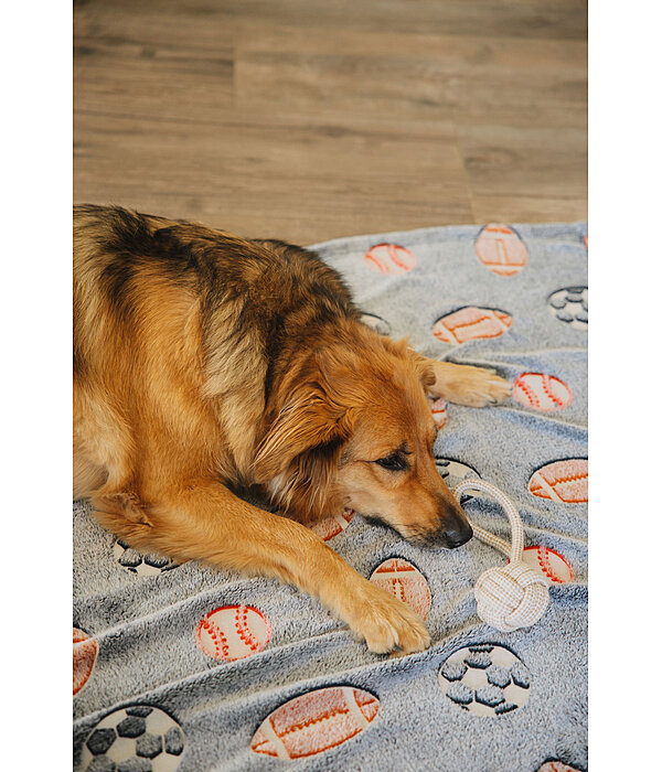 Tau-Spielzeug Jack fr Hunde