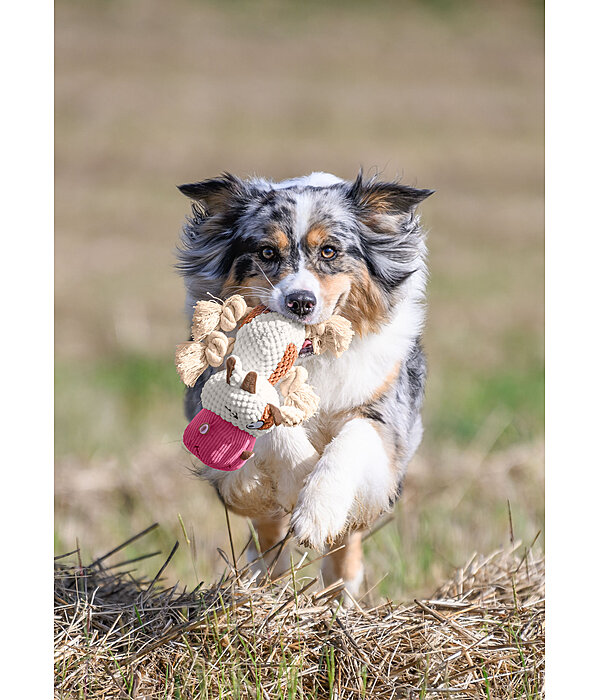 Hundespielzeug Kuschel-Kuh Zenzi