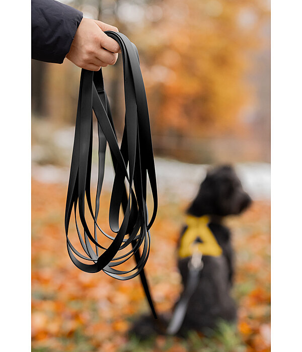 Waterproof Reitbegleit-Hundeleine Ginny