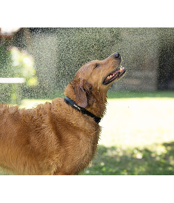 Waterproof Hundehalsband Mable