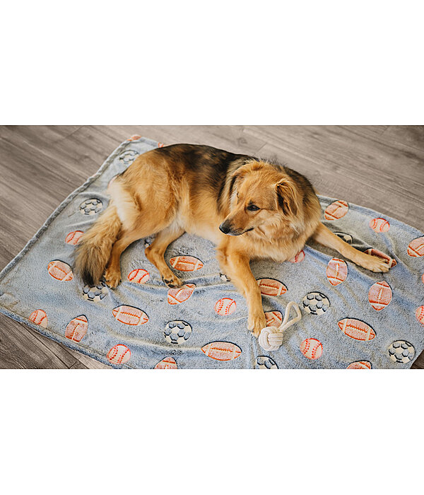 Hundedecke Glow in the Dark