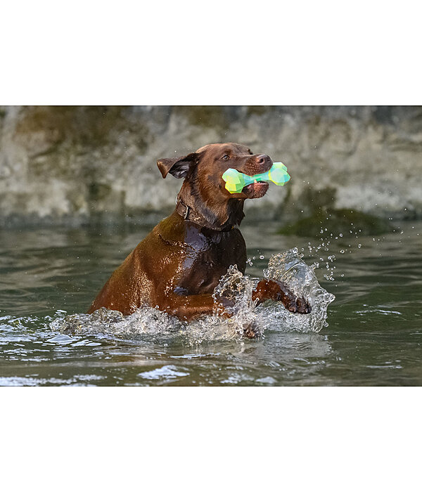 Wasserspielzeug Marble Bone  fr Hunde