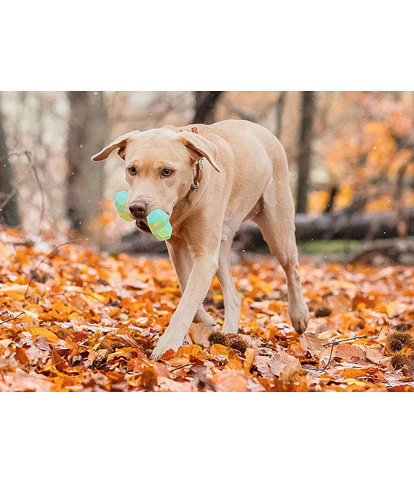 Wasserspielzeug Marble Bone  fr Hunde