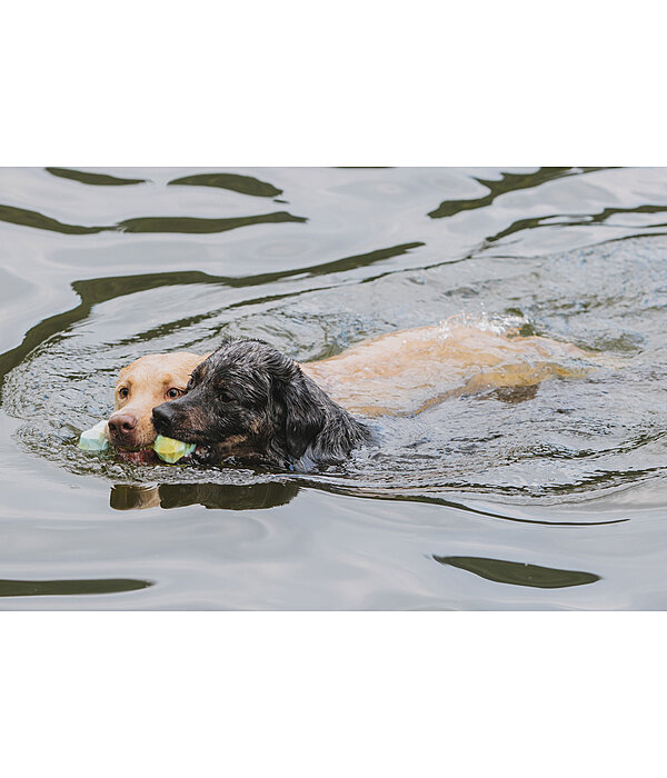 Wasserspielzeug Marble Bone  fr Hunde