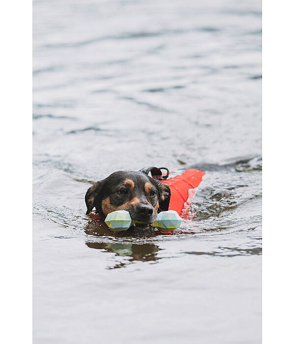 Wasserspielzeug Marble Bone  fr Hunde