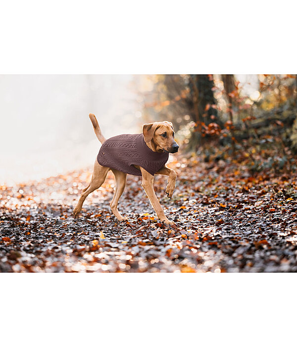 Hunde-Rollkragenpullover Maisie