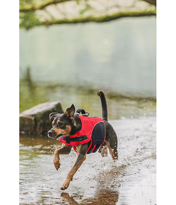 Hunde-Schwimmweste Life Guard