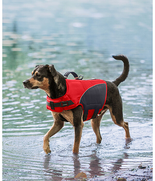Hunde-Schwimmweste Life Guard